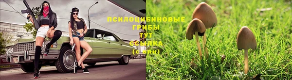 мескалин Вязники