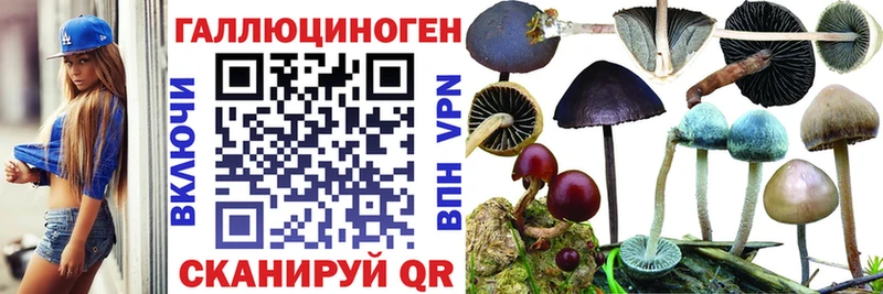 Галлюциногенные грибы Psilocybe  как найти закладки  Калачинск 